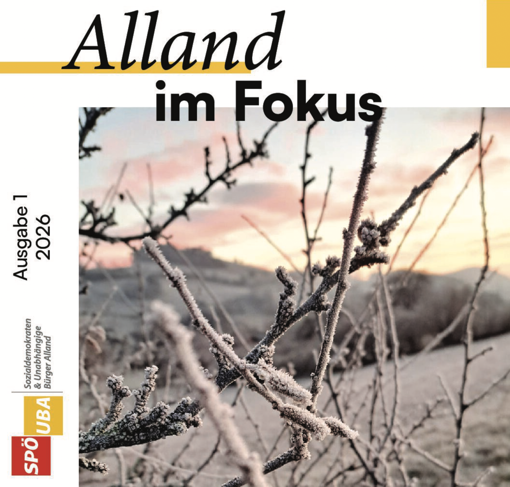 Alland im Fokus 2026/1